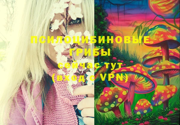 MDMA Premium VHQ Верхнеуральск