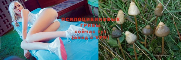 эйфоретик Верхний Тагил