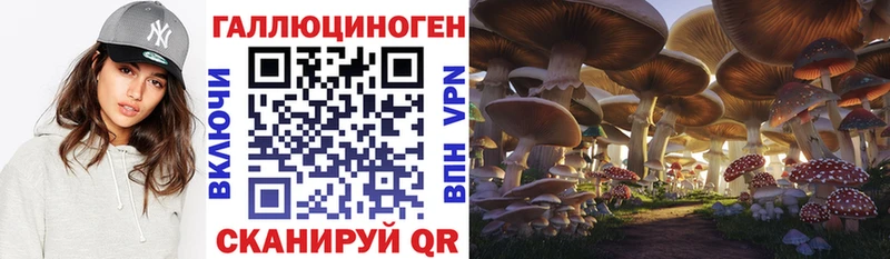 наркошоп  Зима  Галлюциногенные грибы MAGIC MUSHROOMS 